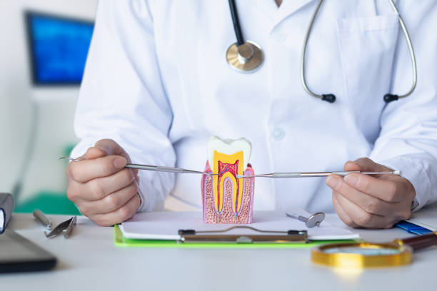 Best Emergency Dental Services for Seniors in Waterbury, CT